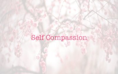 Positive Psychology Day 4 The Self-Compassion Pause